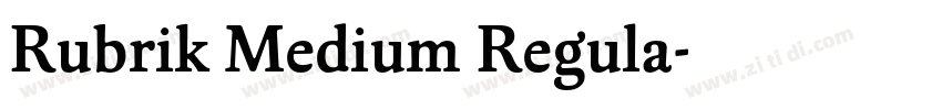 Rubrik Medium Regula字体转换